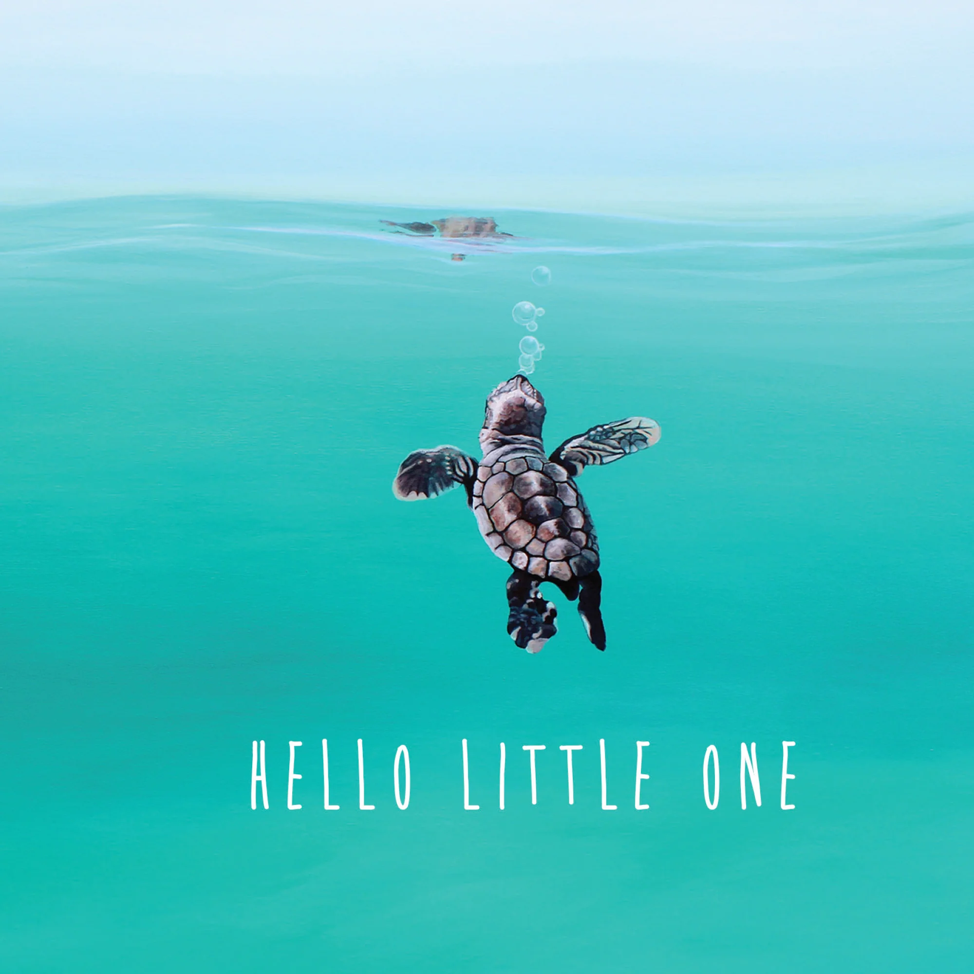 Greeting Card Baby Turtle - Image 2