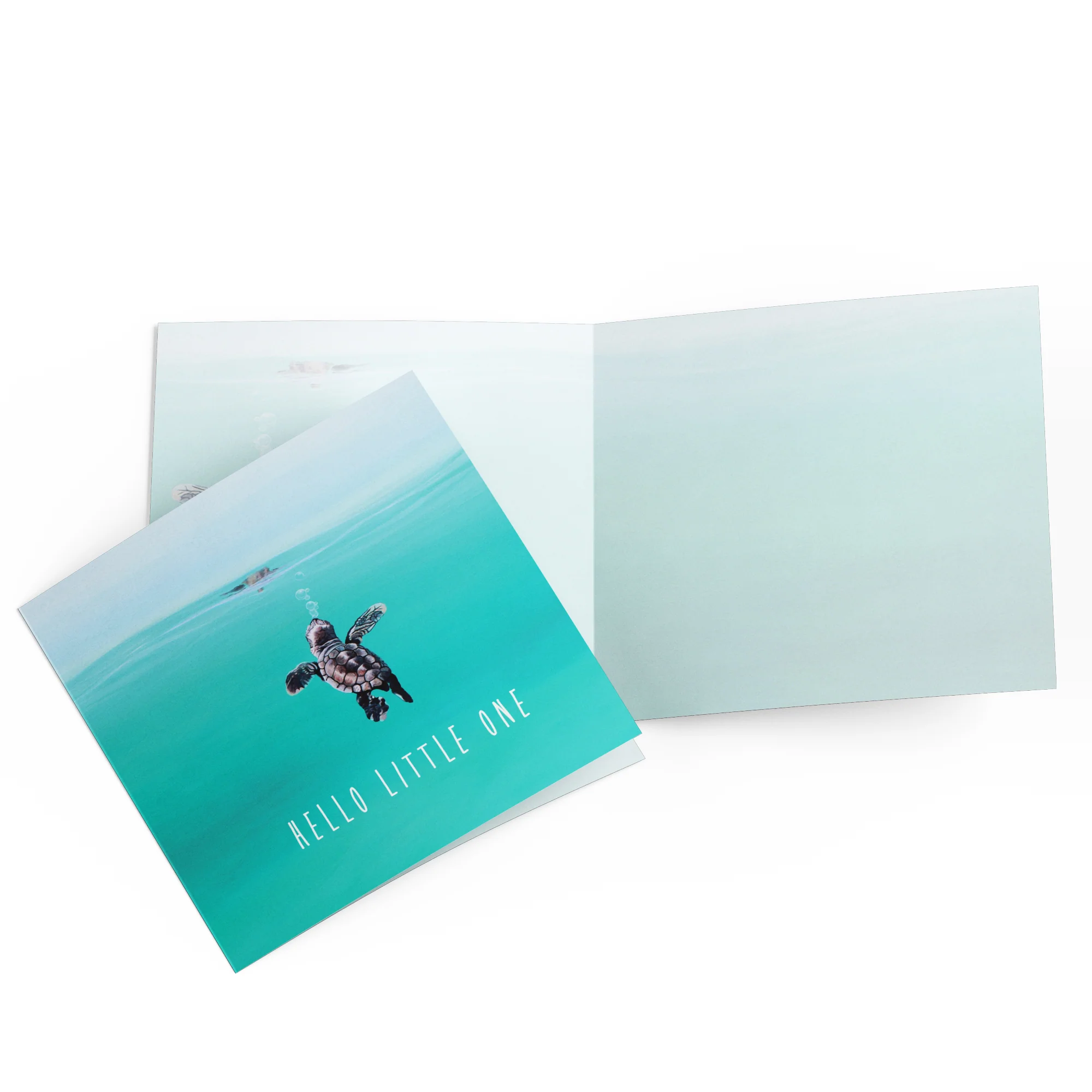 Greeting Card Baby Turtle - Image 3