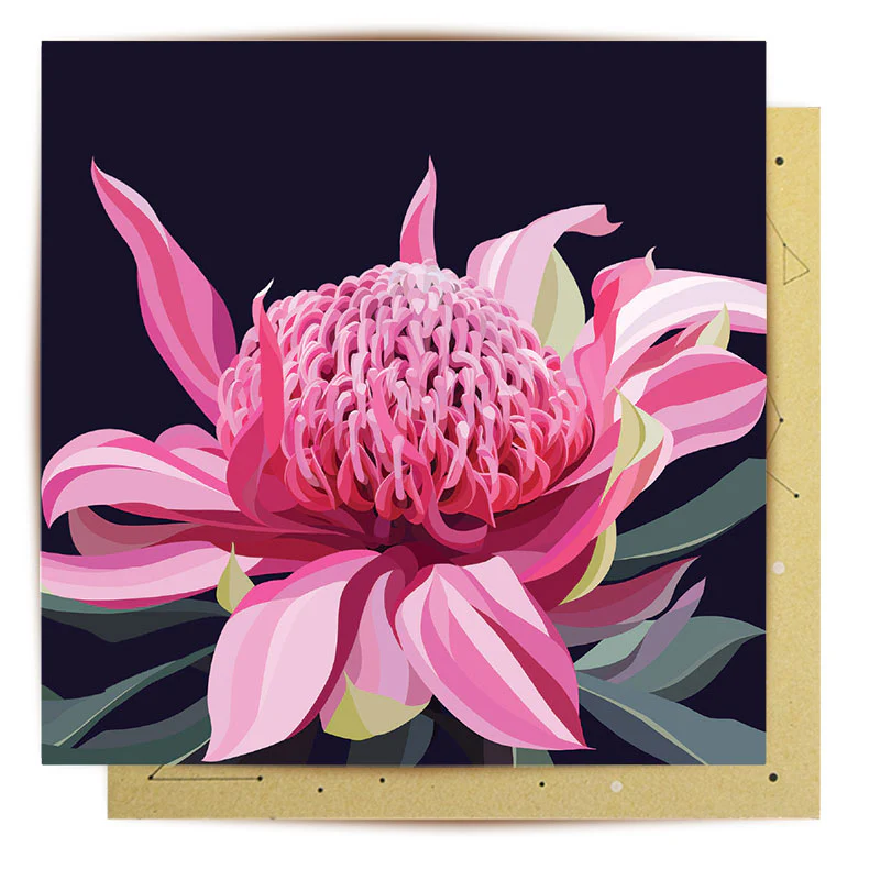 Greeting Card Blooming waratah