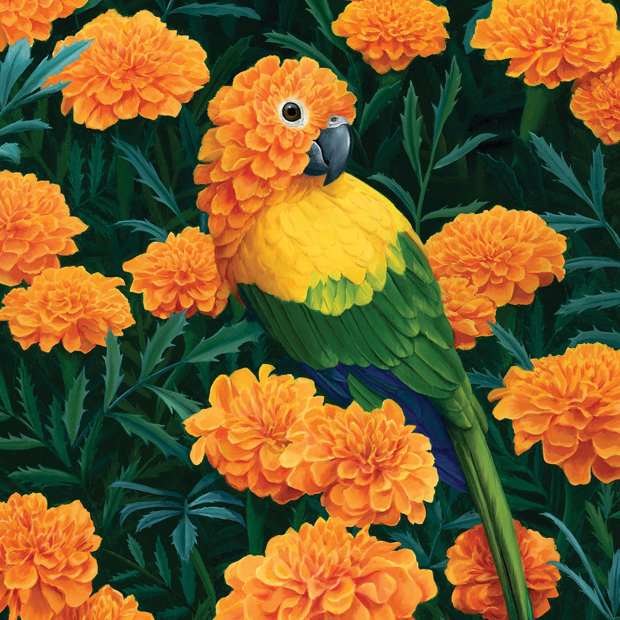 Greeting Card Cempazuchitl - Image 3