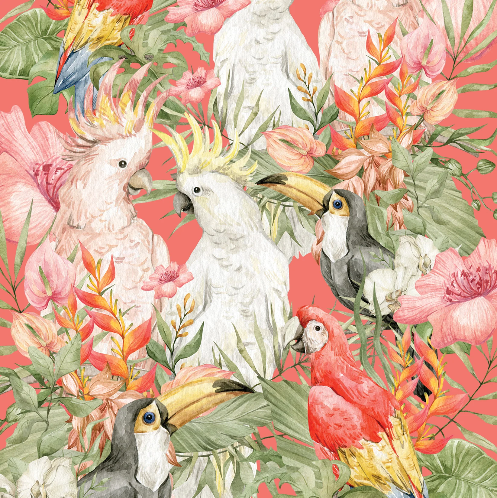 Greeting Card Cockatoo And Birds - Image 3