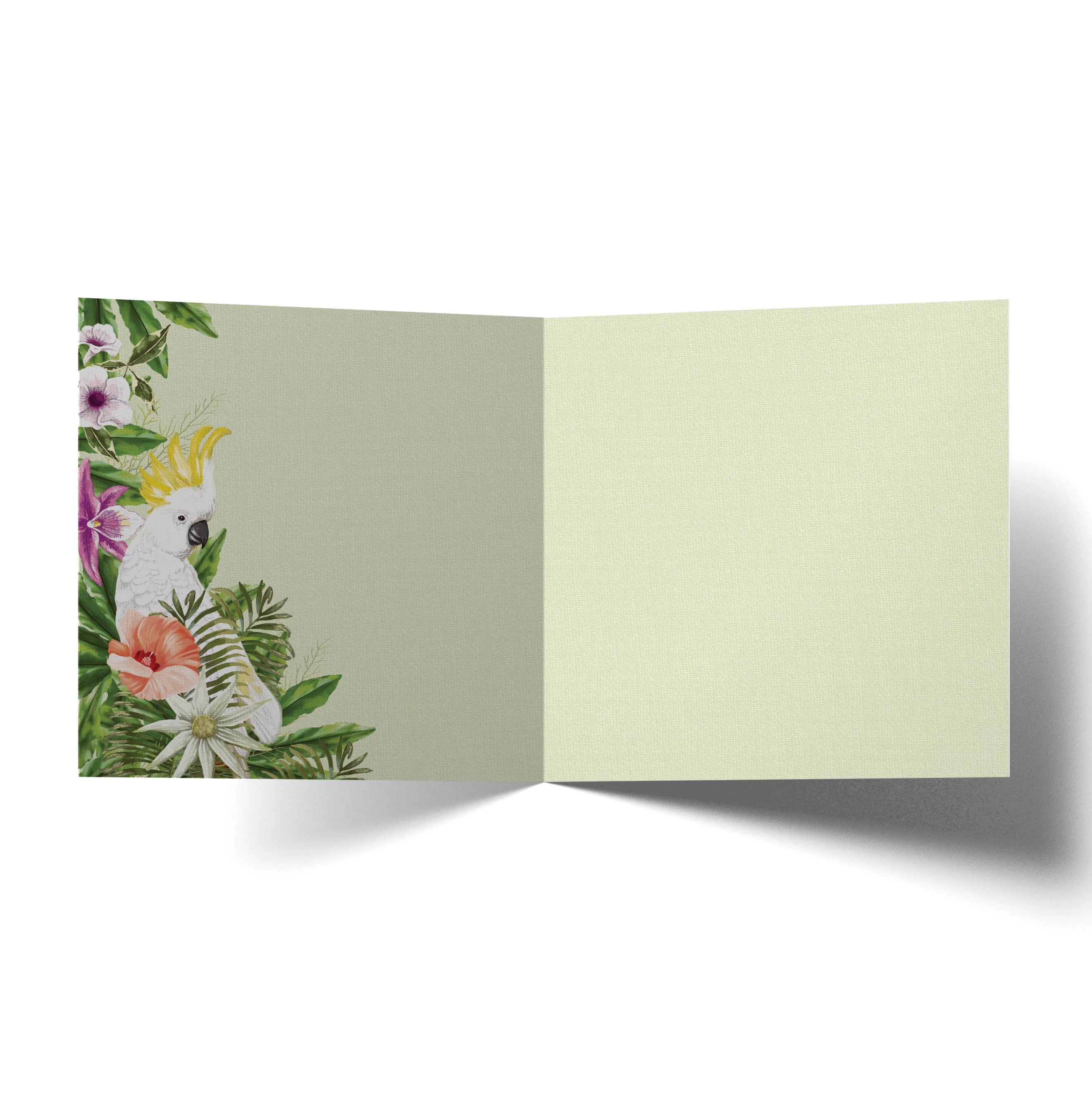 Greeting Card Cockatoos Chat - Image 2