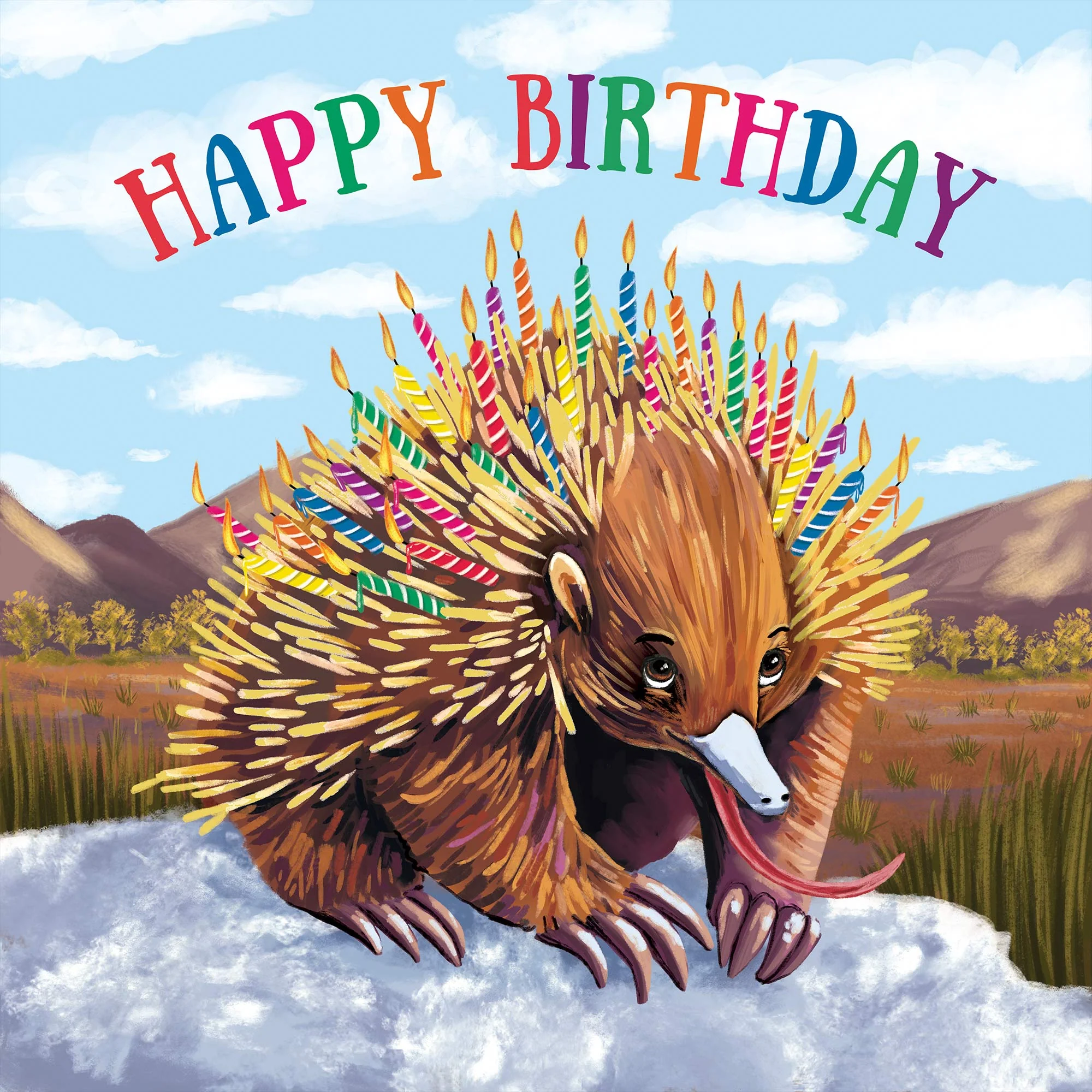 Greeting Card Echidna Candles - Image 3