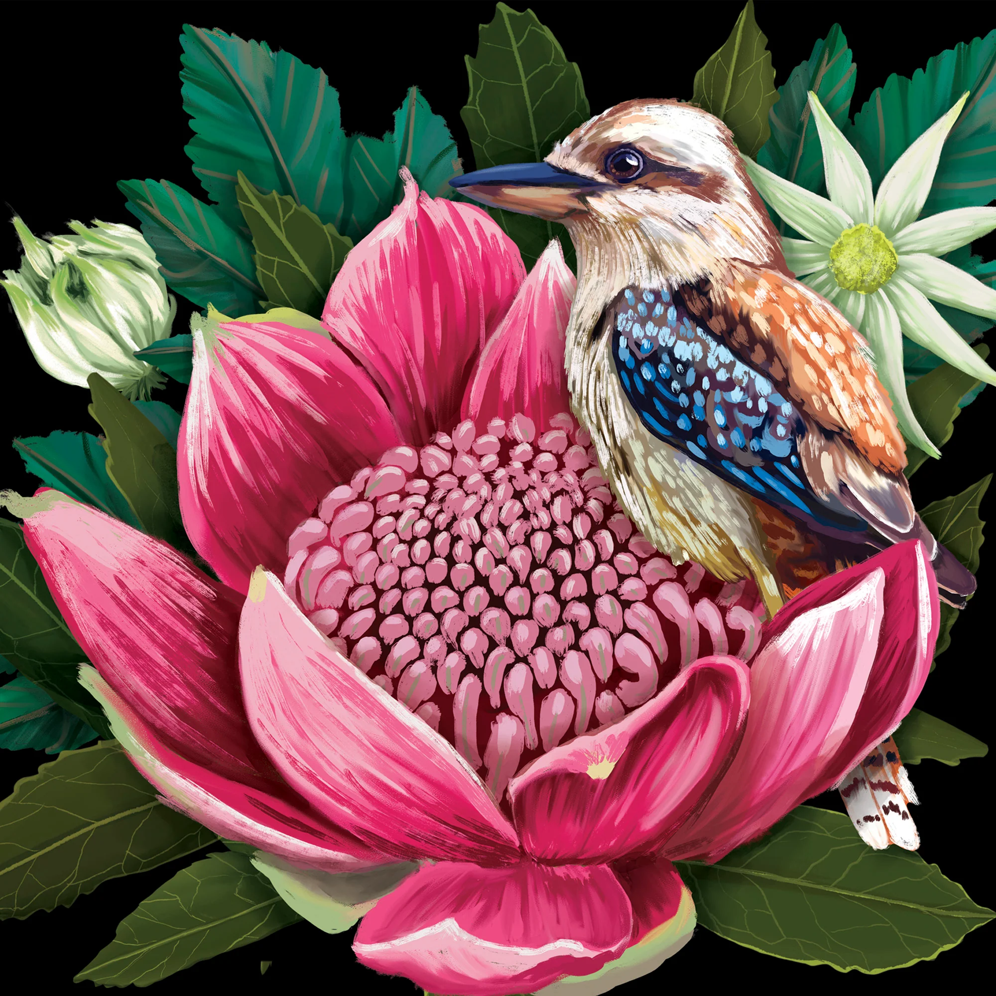 Greeting Card Good Evening Waratah - Image 4
