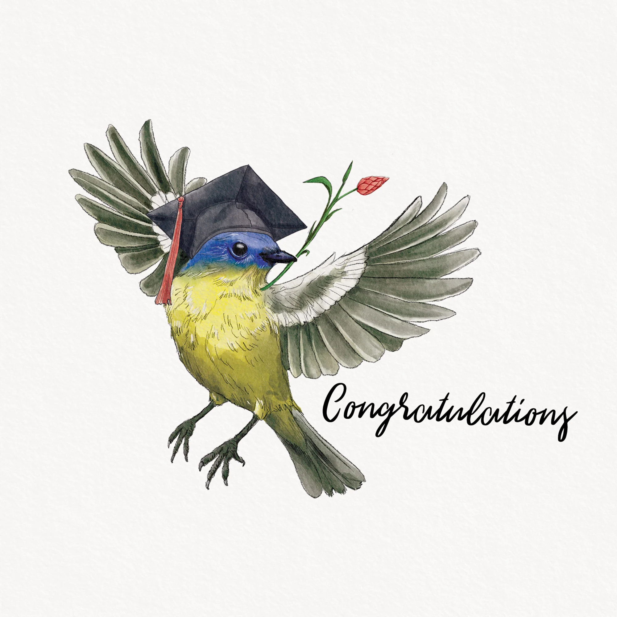 Greeting Card Graduation Bird - Image 3