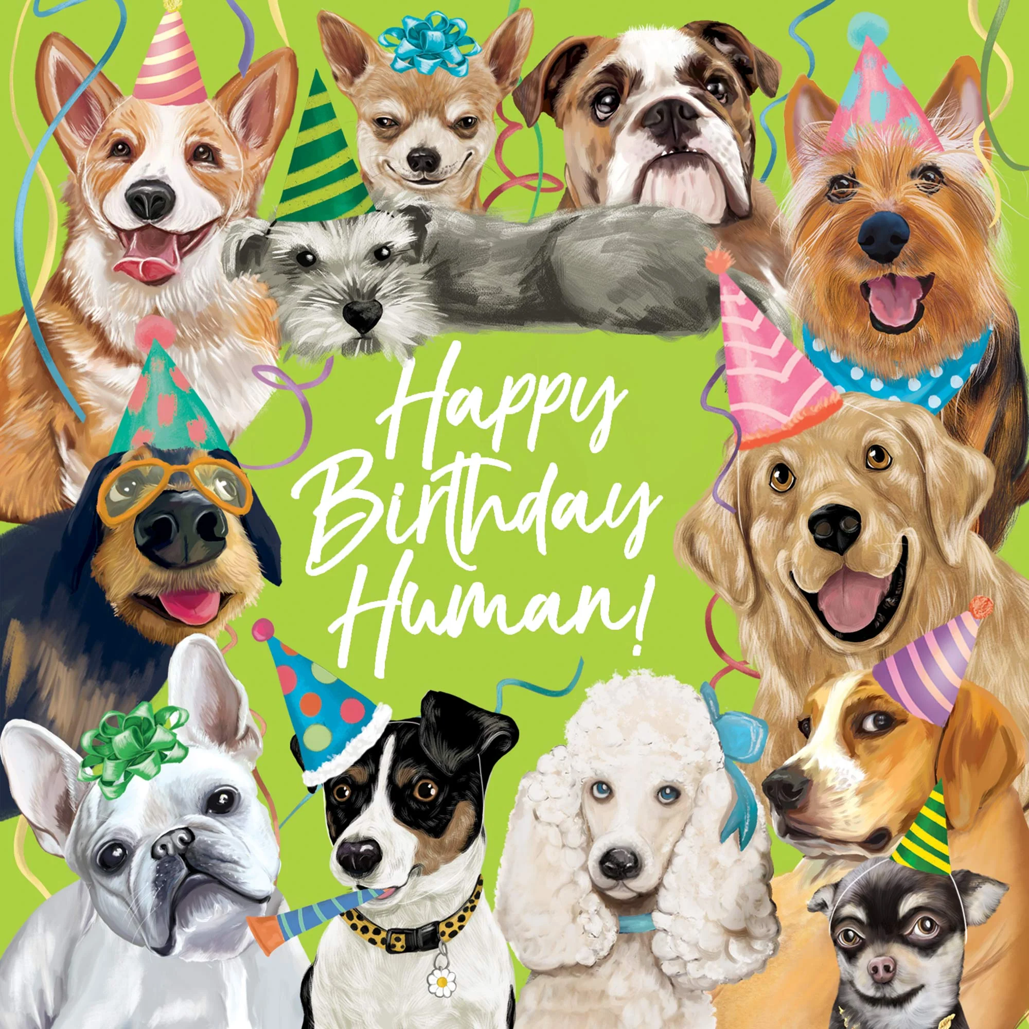 Greeting Card Happy Birthday Human - Image 3