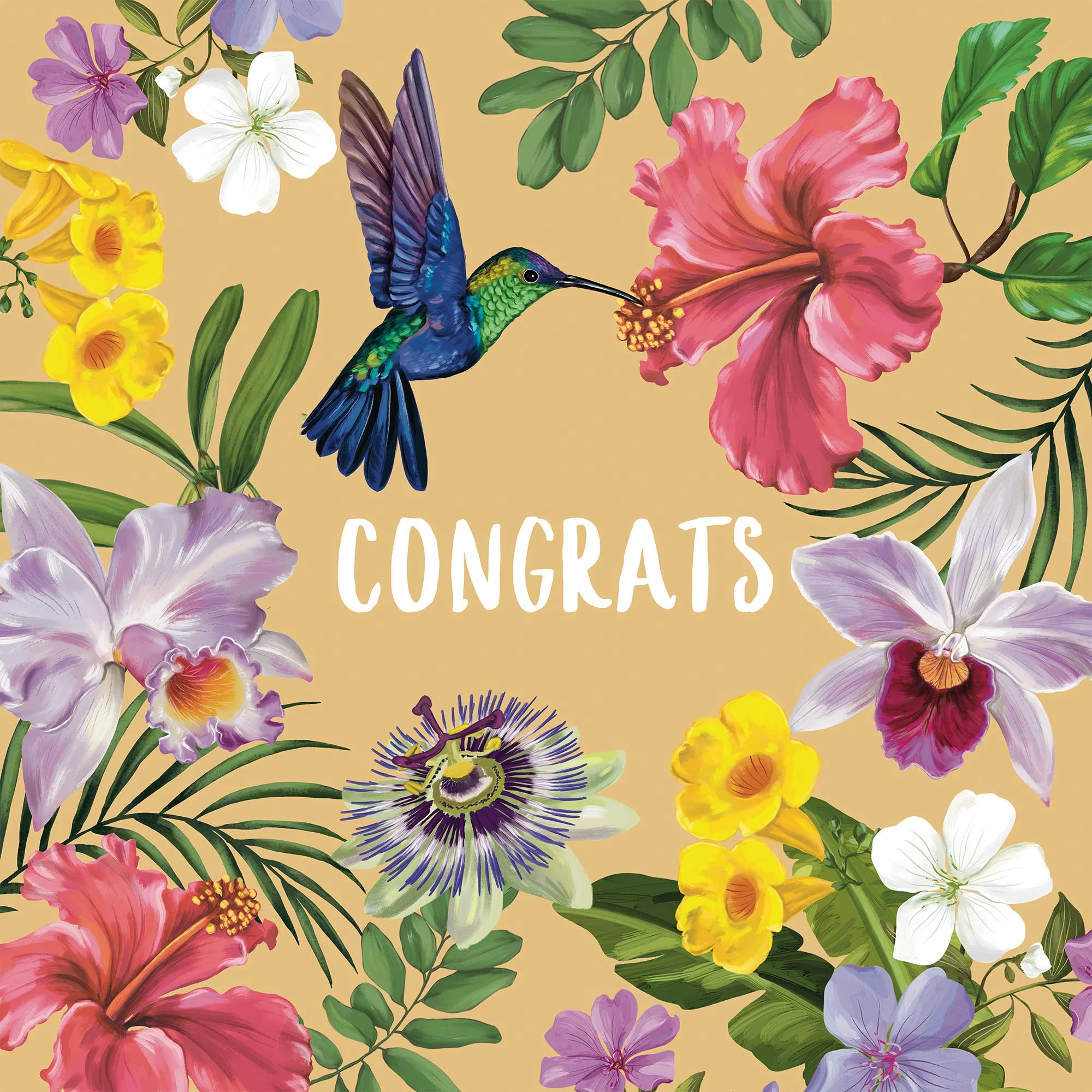 Greeting Card Humming Bird Congrats - Image 3