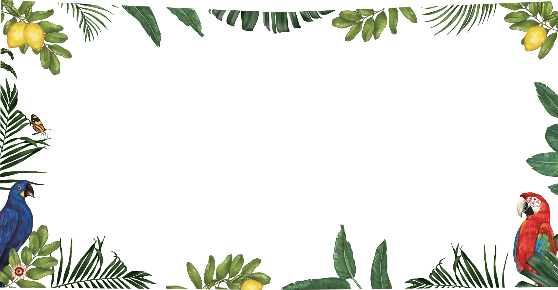 Greeting Card Jungle Monkey - Image 2