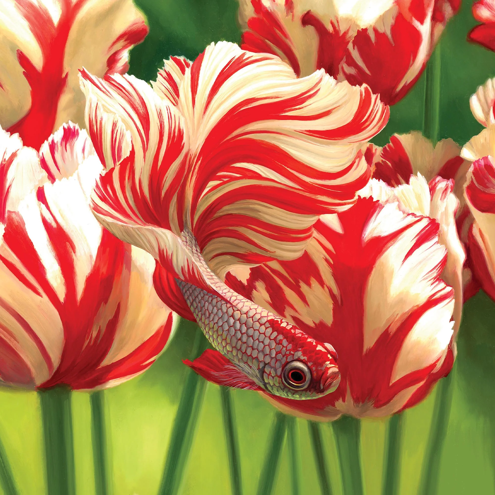 Greeting Card Razzle Dazzle - Image 3