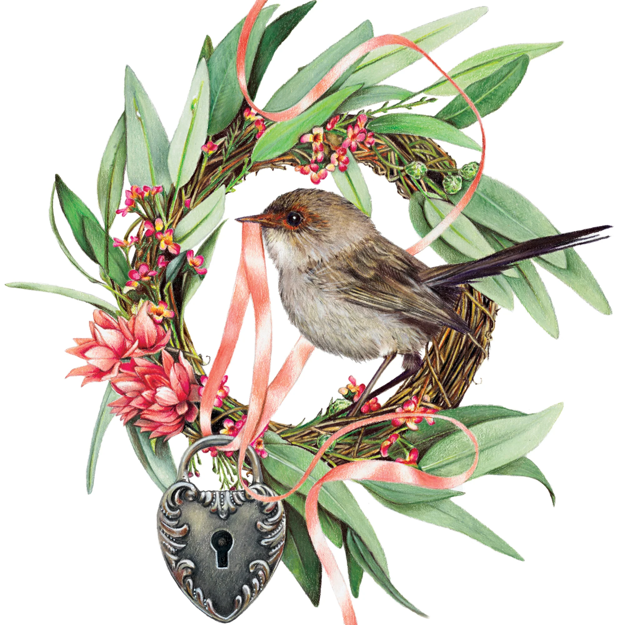 Greeting Card Superb Fairy Wren - Image 3