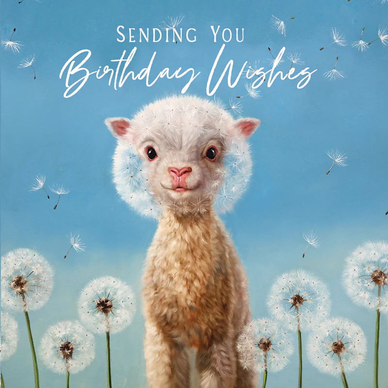 Mini Card Birthday Wishes Lamb - Image 2