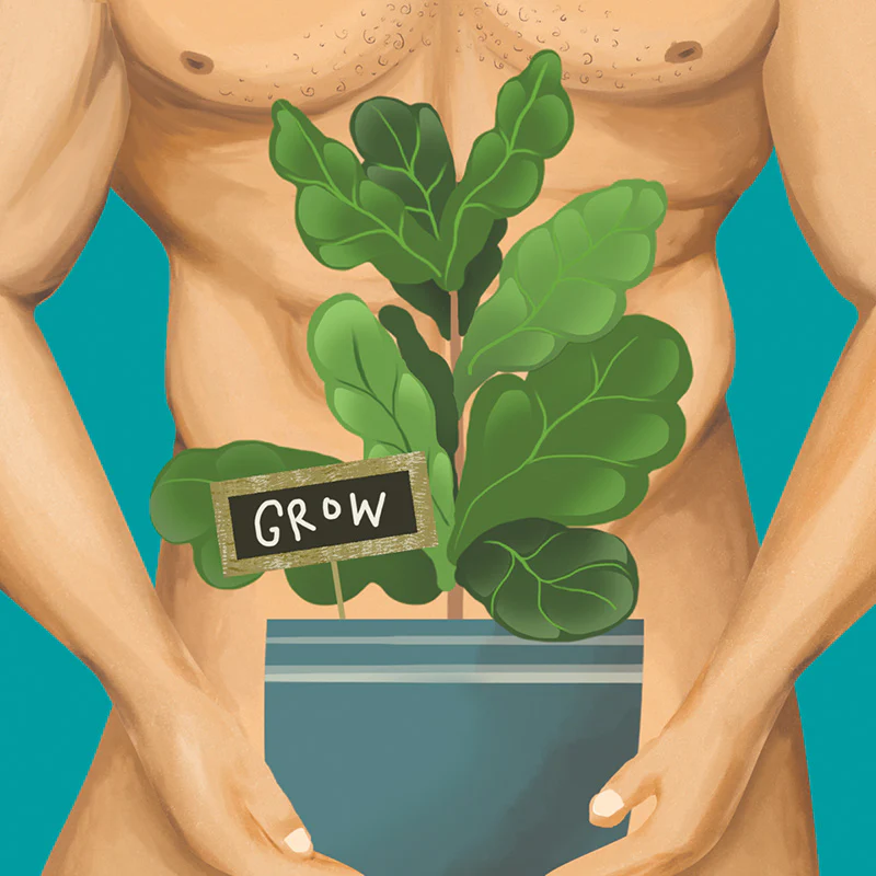Mini Card Grow - Image 2